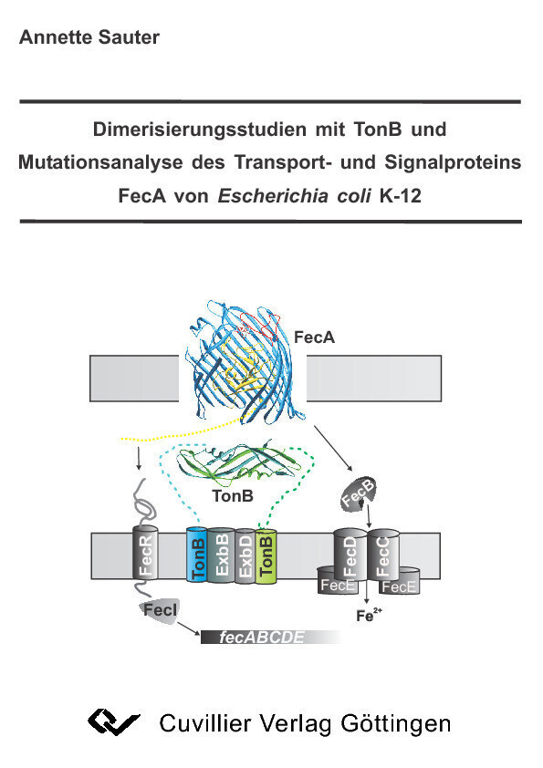Dimerisierungsstudien mit TonB und Mutationsanalyse des Transport- und Signalproteins FecA von Escherichia coli K-12 main product photo