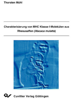 Charakterisierung von MHC Klasse I-Molek&#xFC;len aus Rhesusaffen (Macaca mulatta)