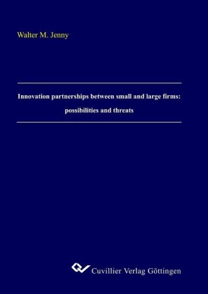 Innovation partnerships between small and large firms: possibilities and threats