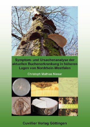 Symptom- und Ursachenanalyse der aktuellen Buchenerkrankung in h&#xF6;heren Lagen von Nordrhein-Westfalen