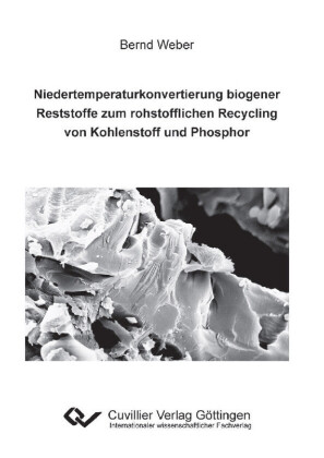 Niedertemperaturkonvertierung biogener Reststoffe zum rohstofflichen Recycling von Kohlenstoff und Phosphor