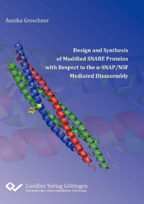 Design and Synthesis of Modified SNARE Proteins with Respect to the &#x3B1;&#x2010;SNAP/NSF Mediated Disassembly