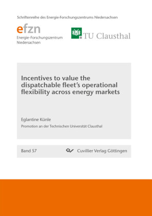 Incentives to value the dispatchable fleet&#x2019;s operational flexibility across energy markets