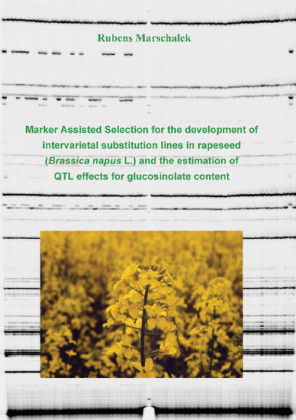 Marker Assisted Selection for the development of intervarietal substitution lines in rapeseed (Brassica napus L.) and the estimation of QTL effects for the glucosinolate content
