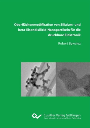 Oberfl&#xE4;chenmodifikation von Silizium&#x2010; und beta&#x2010;Eisendisilizid&#x2010;Nanopartikeln f&#xFC;r die druckbare Elektronik