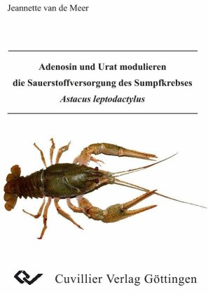 Adenosin und Urat modulieren die Sauerstoffversorgung des Sumpfkrebses Astacus leptodactylus