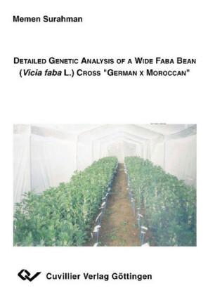 Detailed Genetic Analysis of a Wide Faba Bean (Vicia faba L.) Cross &#x201D;German x Moroccan&#x201C;
