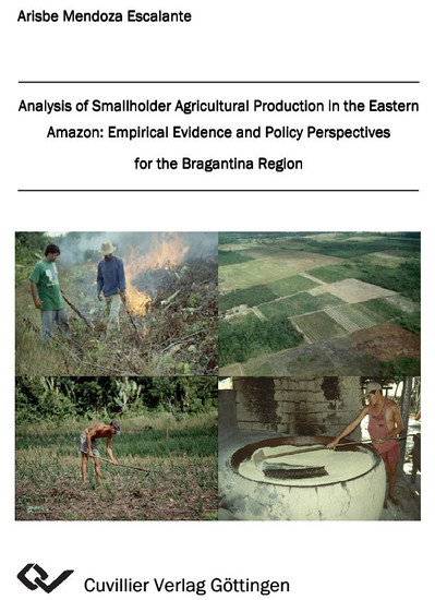 Analysis of Smallholder Agricultural Production in the Eastern Amazon: Empirical Evidence and Policy Perspectives for the Bragantina Region main product photo
