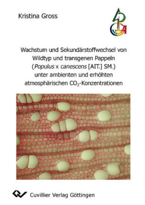 Wachstum und Sekund&#xE4;rstoffwechsel von Wildtyp und transgenen Pappeln (Populus x canescens [AIT.] SM.) unter ambienten und erh&#xF6;hten atmosph&#xE4;rischen CO2-Konzentrationen