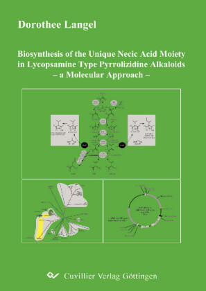 Biosynthesis of the Unique Necic Acid Moiety in Lycopsamine Type Pyrrolizidine Alkaloids