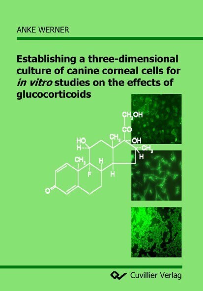 Establishing a three-dimensional culture of canine corneal cells for in vitro studies on the effects of glucocorticoids main product photo