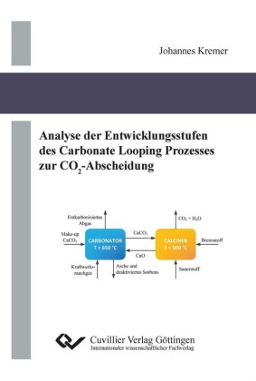 Analyse der Entwicklungsstufen des Carbonate Looping Prozesses zur CO2-Abscheidung