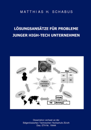 L&#xF6;sungsans&#xE4;tze f&#xFC;r Probleme junger High-Tech Unternehmen