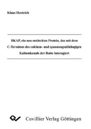 BKAP, ein neu entdecktes Protein, das mit dem C-Terminus des calcium-und spannungsabh&#xE4;ngigen Kaliumkanals der Ratte interagiert