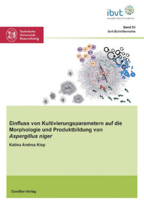 Einfluss von Kultivierungsparametern auf die Morphologie und Produktbildung von Aspergillus niger