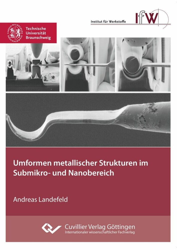 Umformen metallischer Strukturen im Submikro- und Nanobereich main product photo