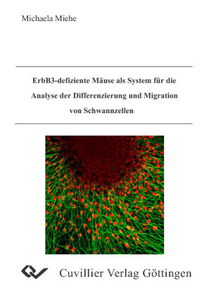 ErbB3-defiziente M&#xE4;use als System f&#xFC;r die Analyse der Differenzierung und Migration von Schwannzellen