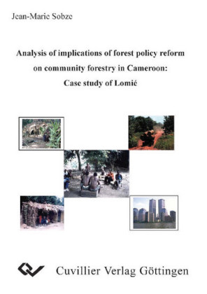 Analysis of implications of forest policy reform on community forestry in Cameroon: Case study of Lomi&#xE9;