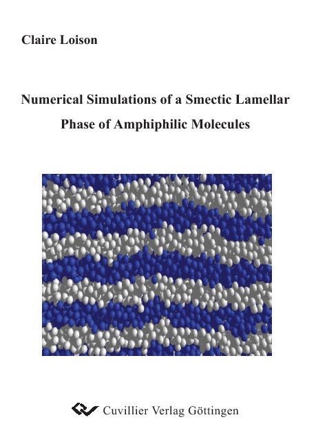 Numerical Simulations of a Smectic Lamellar of Amphiphilic Molecules main product photo