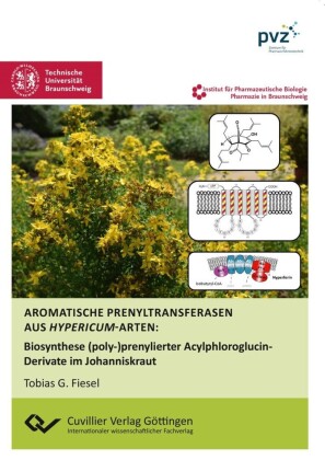 Aromatische Prenyltransferasen aus Hypericum-Arten