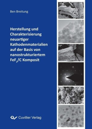 Herstellung und Charakterisierung neuartiger Kathodenmaterialien auf der Basis von nanostrukturiertem FeF2/C Komposit