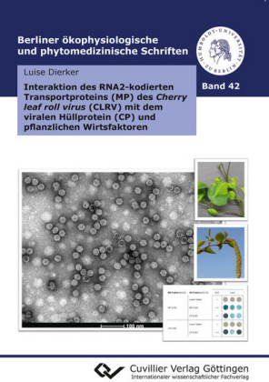 Interaktion des RNA2-kodierten Transportproteins (MP) des Cherry leaf roll virus (CLRV) mit dem viralen H&#xFC;llprotein (CP) und pflanzlichen Wirtsfaktoren