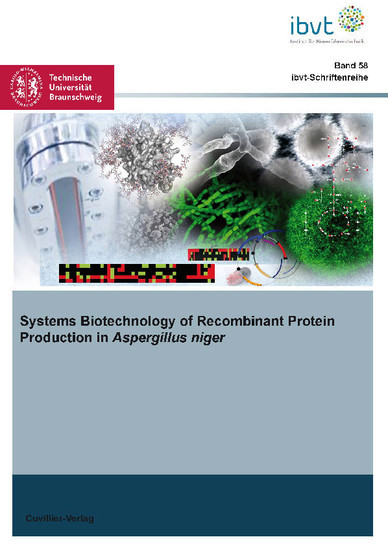 Systems Biotechnology of Recombinant Protein Production in Aspergillus niger main product photo