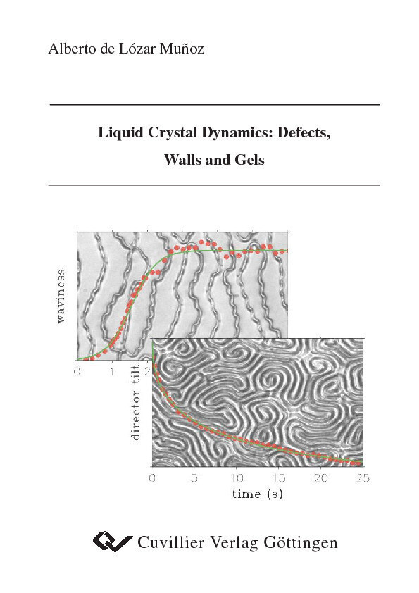 Liquid Crystal Dynamics: Defects, Walls and Gels main product photo