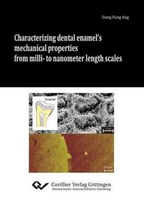 Characterizing dental enamel&#x2019;s mechanical properties from milli- to nanometer length scales