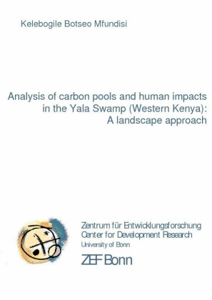 Analysis of carbon pools and human impacts in the Yala Swamp (Western Kenya): A landscape approach