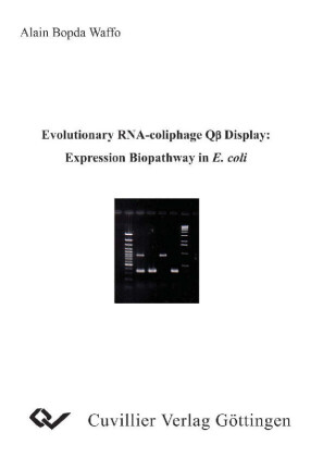 Evolutionary RNA-coliphage Q&#xDF; Display: Expression Biopathway in E.coli