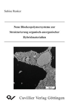 Neue Blockcopolymersysteme zur Strukturierung organisch-anorganischer Hybridmaterialien