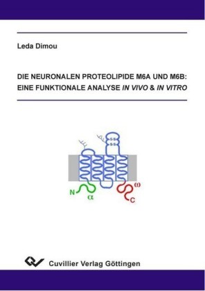 Die neuronalen Proteolipide M6a und M6b