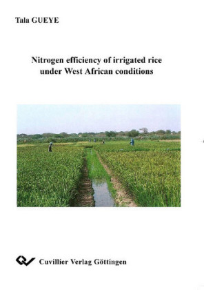 Nitrogen efficiency of irrigated rice under West African conditions