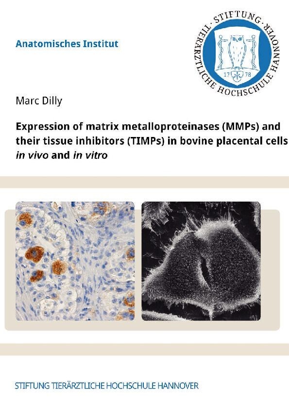 Expression of matrix metalloproteinases (MMPs) and their tissue inhibitors (TIMPs) in bovine placental cells in vivo and in vitro main product photo