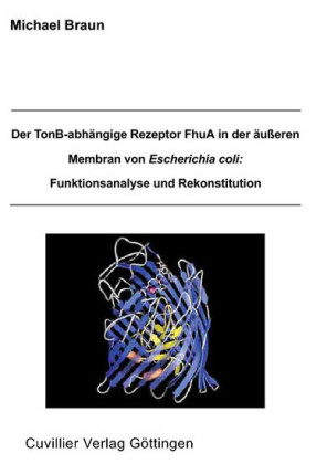 Der TonB-abh&#xE4;ngige Rezeptor FhuA in der &#xE4;u&#xDF;eren Membran von Escherichia coli
