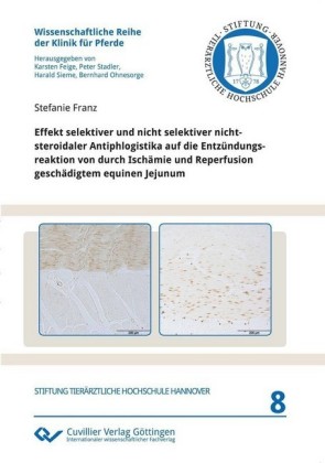 Effekt selektiver und nicht selektiver nichtsteroidaler Antiphlogistika auf die Entz&#xFC;ndungsreaktion von durch Isch&#xE4;mie und Reperfusion gesch&#xE4;digtem equinen Jejunum