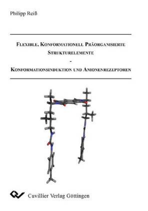 Flexible, Konformationell Pr&#xE4;organisierte Strukturelemente - Konformationsinduktion und Anionenrezeptoren