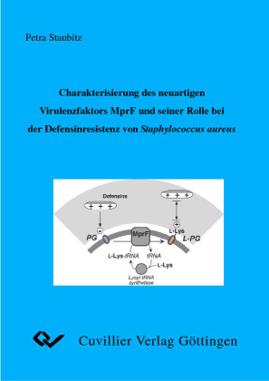 Charakterisierung des neuartigen Virulenzfaktors MprF und seiner Rolle bei der Defensinresistenz von Staphylococcus aureus