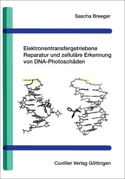 Elektronentransfergetriebene Reparatur und zelluläre Erkennung von DNA-Photoschäden main product photo