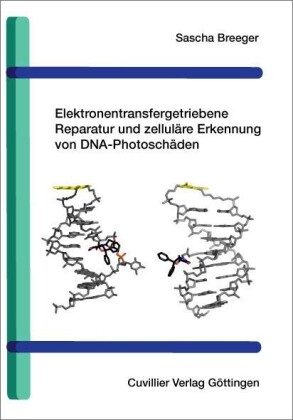 Elektronentransfergetriebene Reparatur und zellul&#xE4;re Erkennung von DNA-Photosch&#xE4;den