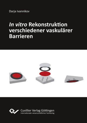 In vitro Rekonstruktion verschiedener vaskul&#xE4;rer Barrieren
