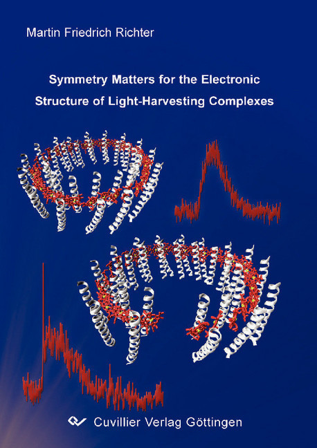 Symmetry Matters for the Electronic Structure of Light- Harvesting main product photo