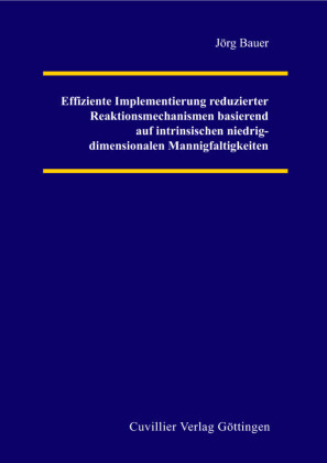 Effiziente Implementierung reduzierter Reaktionsmechanismen basierend auf intrinsischen niedrig-dimensionalen Mannigfaltigkeiten