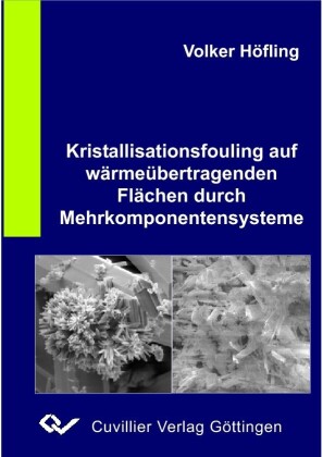 Kristallisationsfouling auf w&#xE4;rme&#xFC;bertragenden Fl&#xE4;chen durch Mehrkomponentensysteme