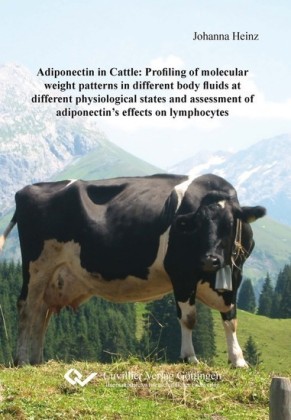 Adiponectin in Cattle: Profiling of molecular weight patterns in different body fluids at different physiological states and assessment of adiponectin&#x2019;s effects on lymphocytes