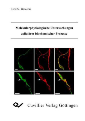 Molekularphysiologische Untersuchungen zellul&#xE4;rer biochemischer Prozesse