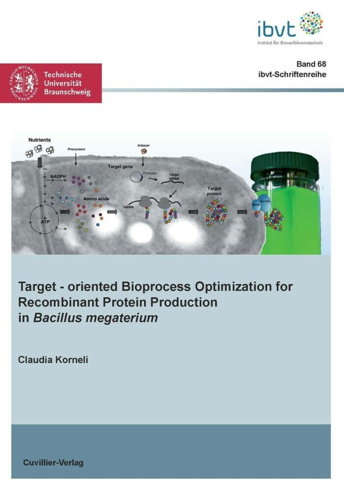 Target‐oriented Bioprocess Optimization for Recombinant Protein Production in Bacillus megaterium main product photo