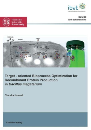 Target&#x2010;oriented Bioprocess Optimization for Recombinant Protein Production in Bacillus megaterium