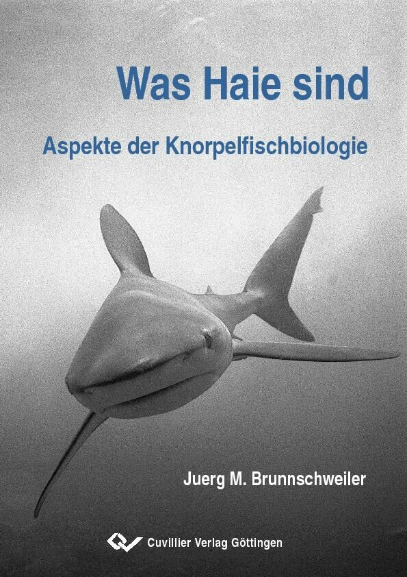 Was Haie sind main product photo